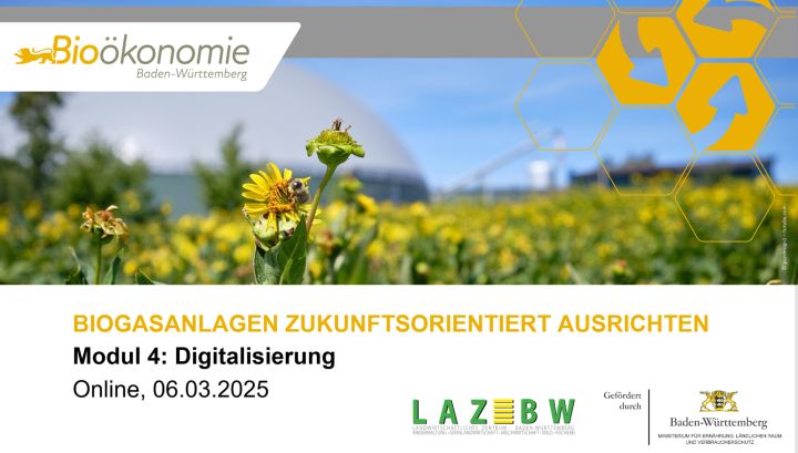 LAZBW online seminar